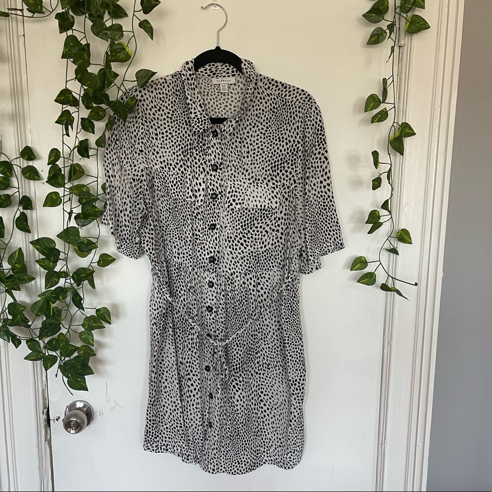 TopShop Dress